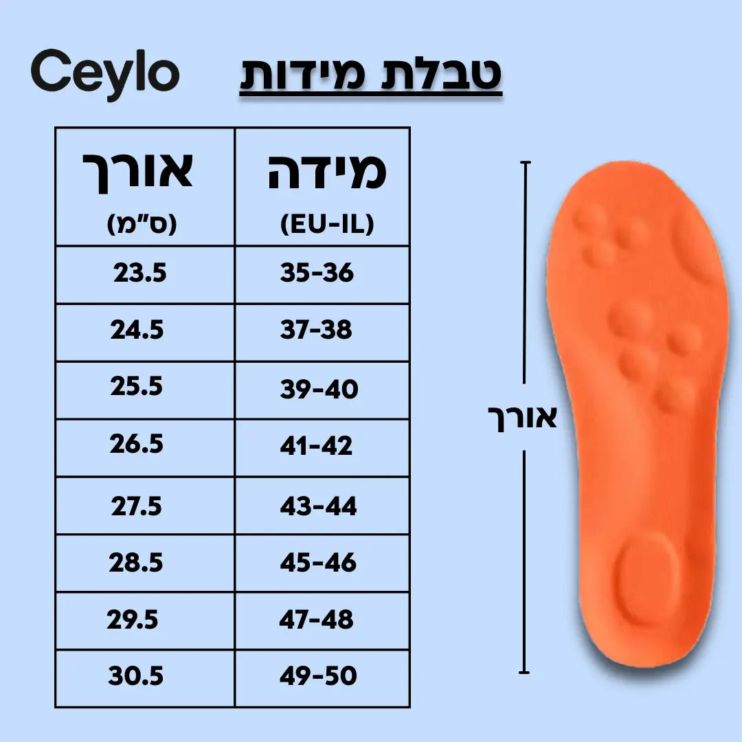 טבלת מידות למדרסים